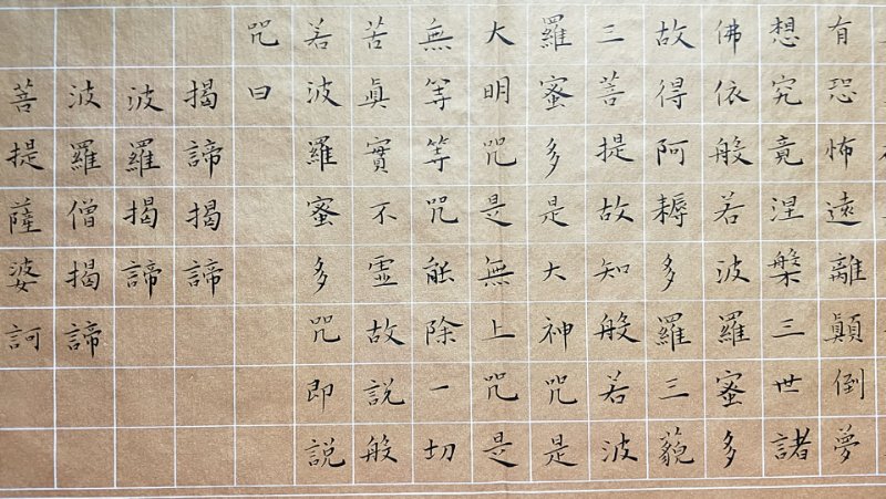 杨秦
