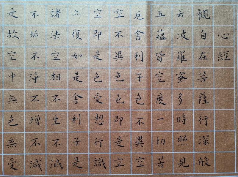 杨秦