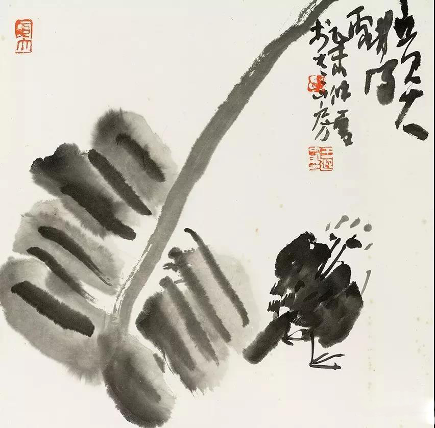 王迎春