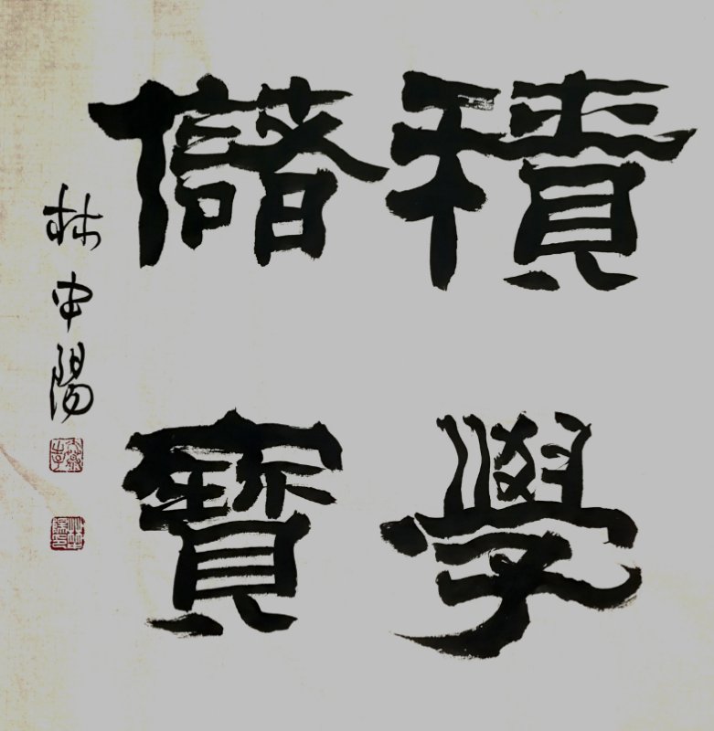 林中阳