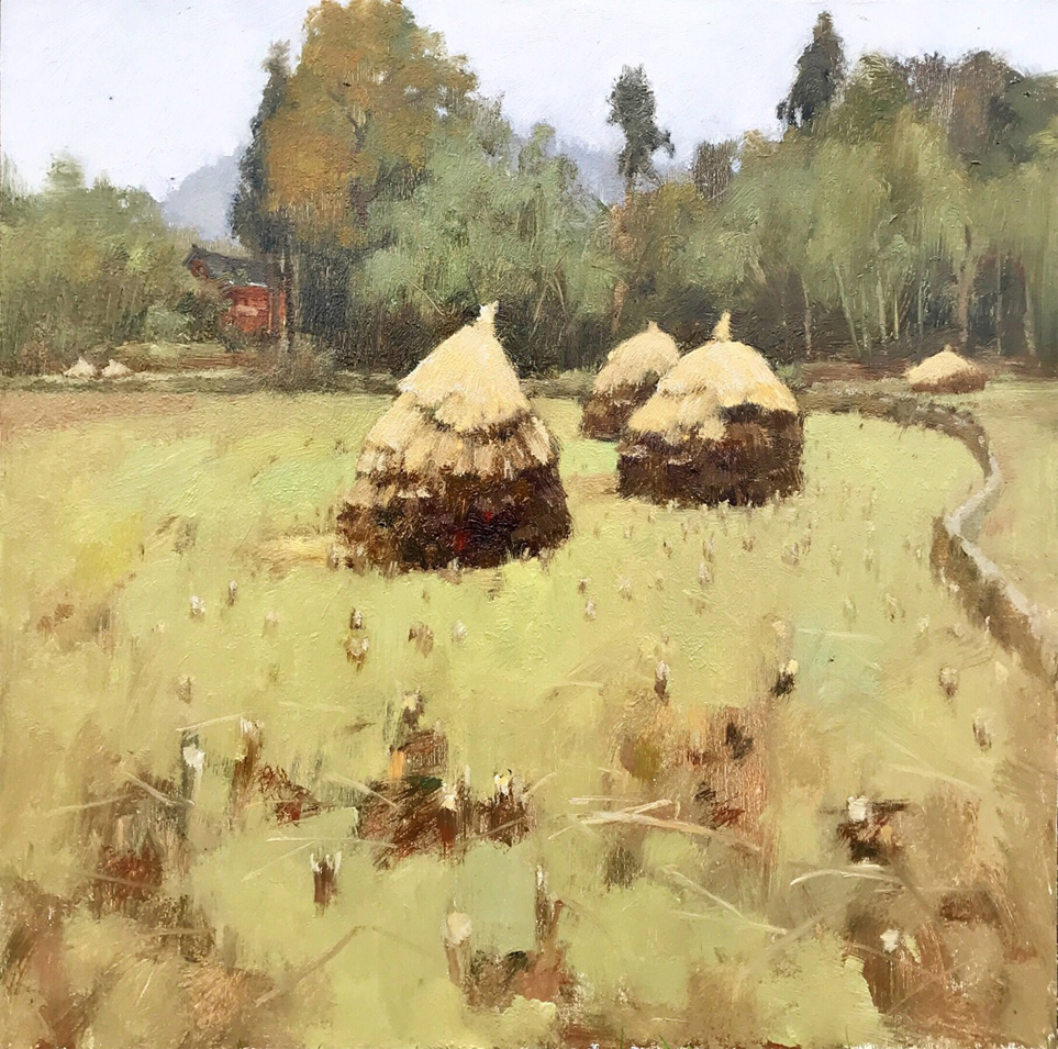 刘振宇