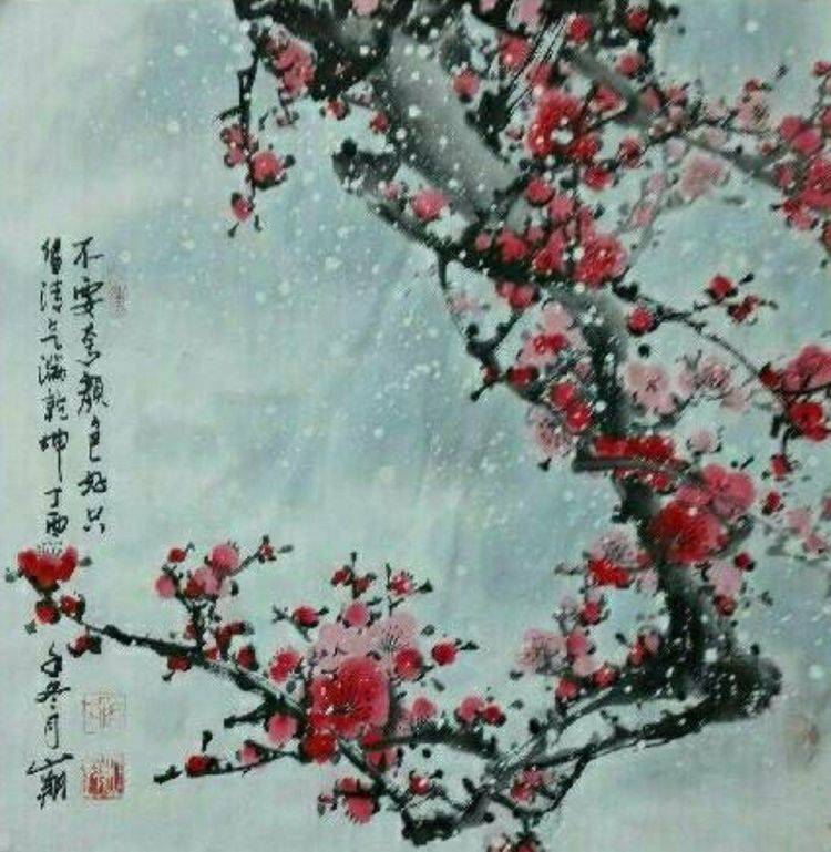 官山翔
