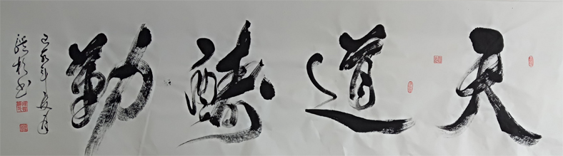 陈体杉