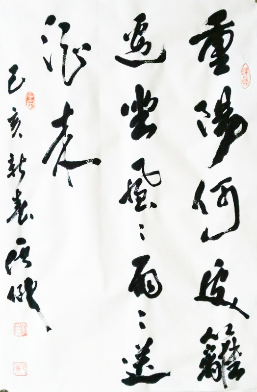 刘志强