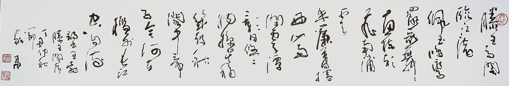 苏华