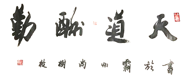 尚树秋
