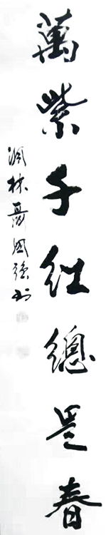  聂国强