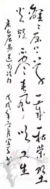 白凤学