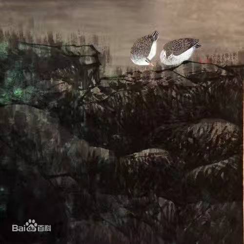 张淼