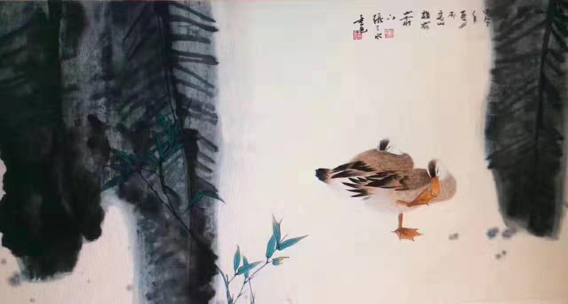 张淼