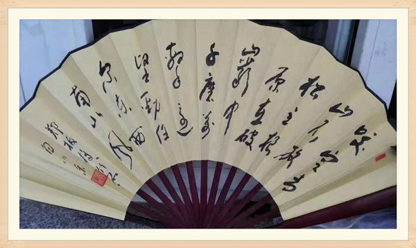 白小乐