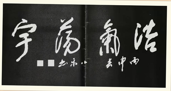 白小乐