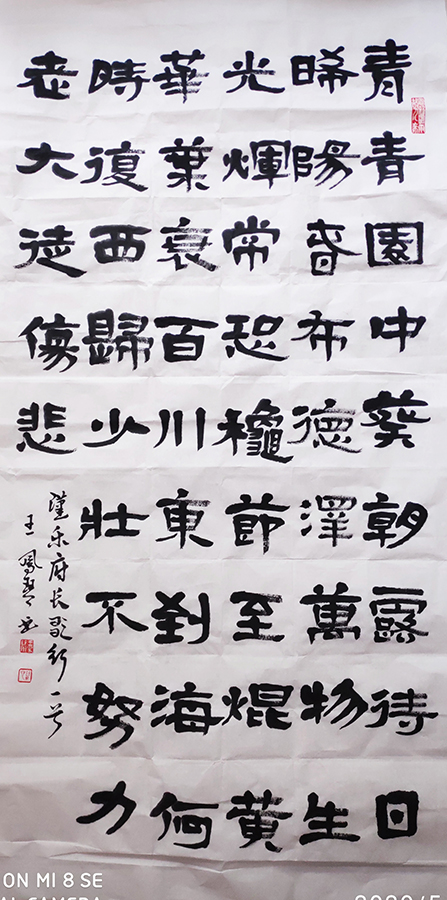王凤琴