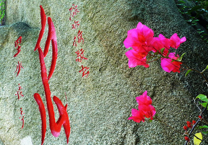 康水梅