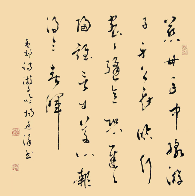 杨廷泽