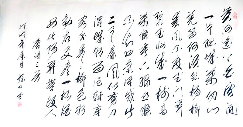 苏红云