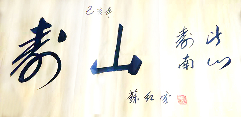 苏红云