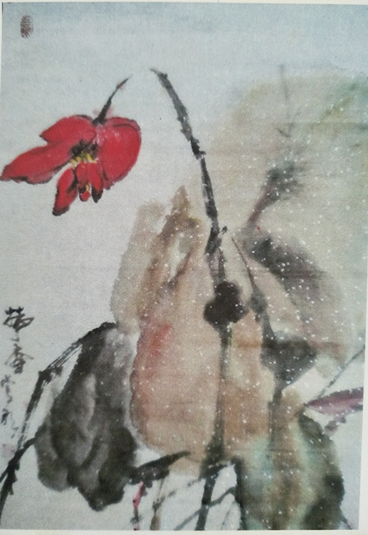 周映吉