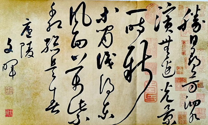 徐文晖