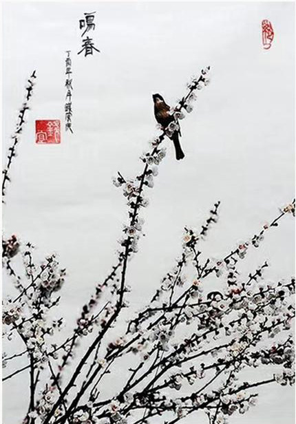 钱安庆