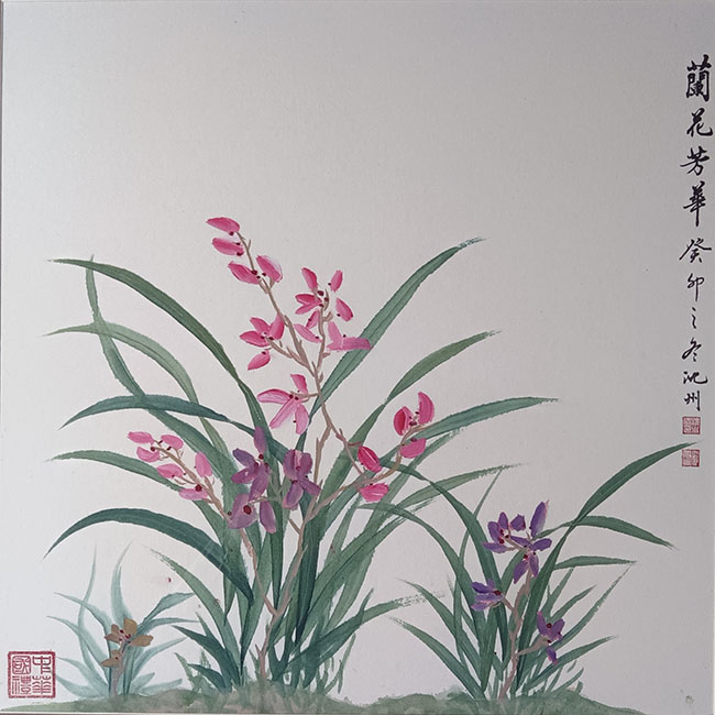 沈小洪