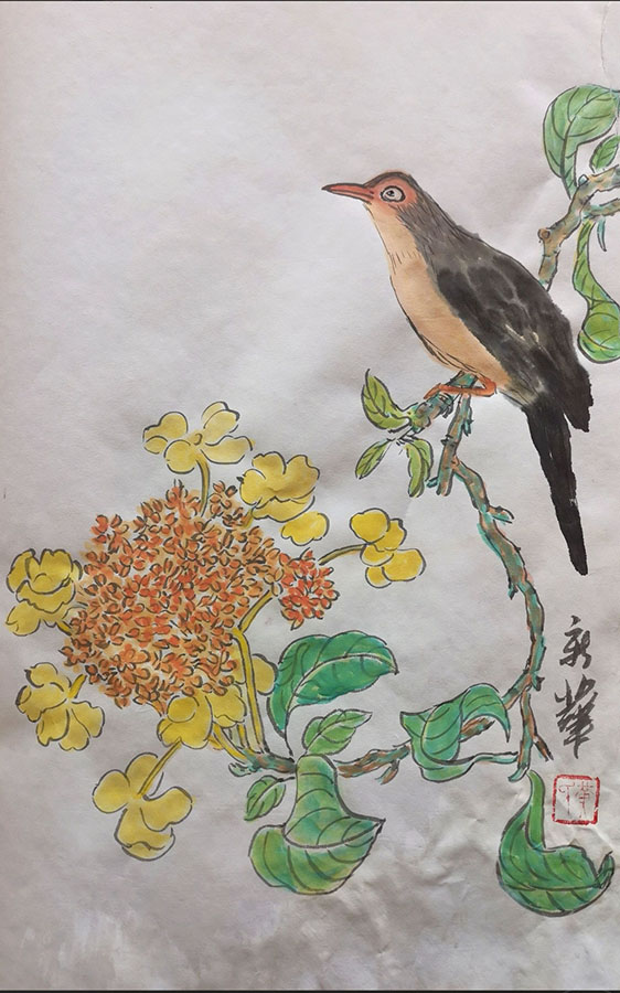 黄新华