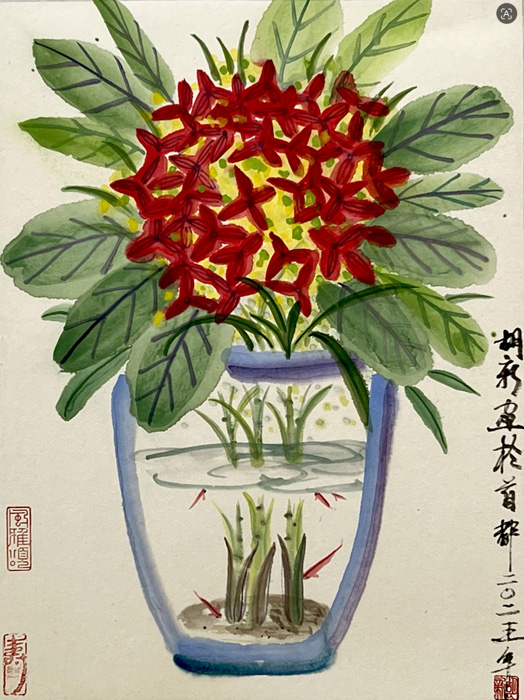 胡新